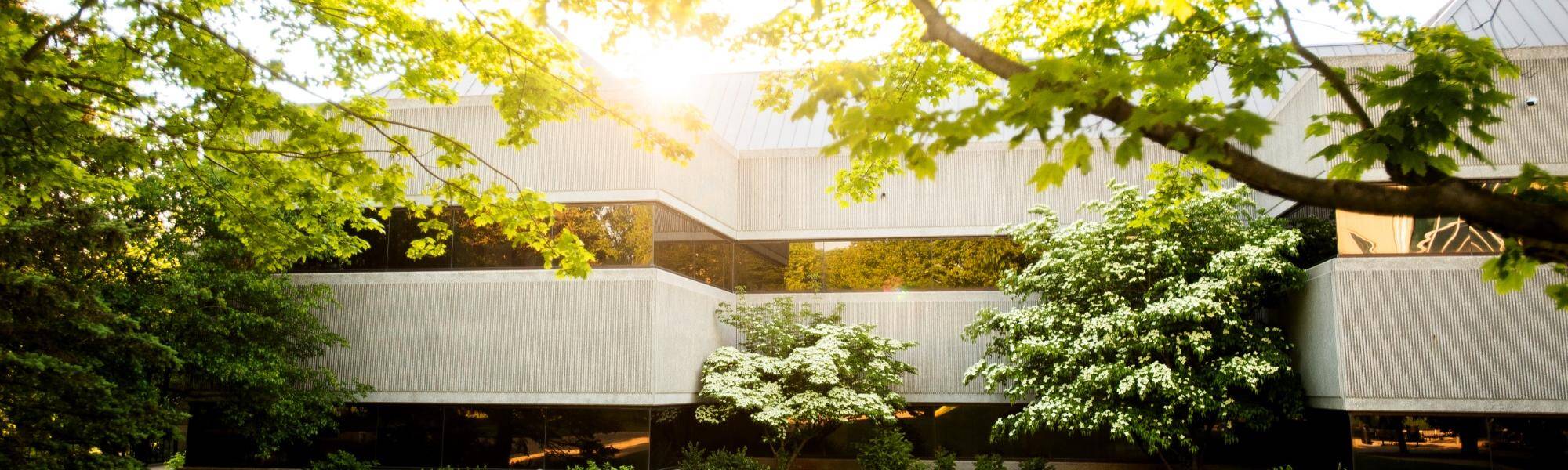 Front of Au Sable Hall in summer; Sunlight streaming through tree branches